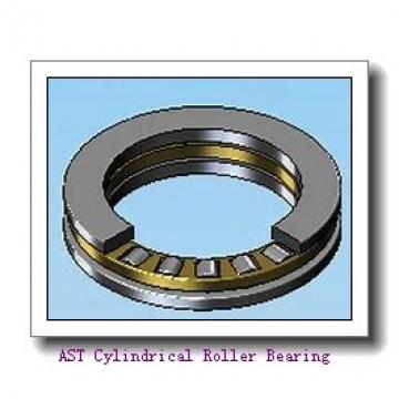 AST NJ311 EFX Cylindrical Roller Bearing