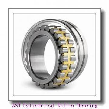 AST NJ240 EM Cylindrical Roller Bearing