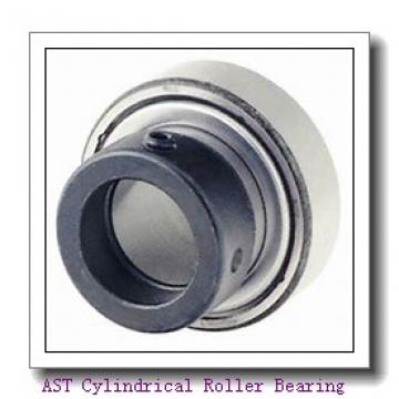 AST NJ310 ETN Cylindrical Roller Bearing