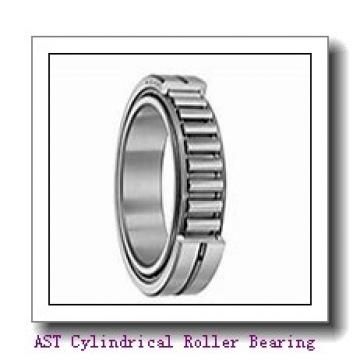 AST NJ407 M Cylindrical Roller Bearing