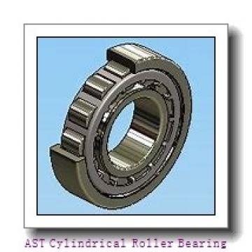 AST NJ334 EM Cylindrical Roller Bearing