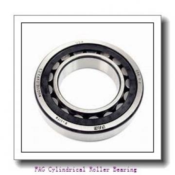 FAG NJ340-E-TB-M1 Cylindrical Roller Bearing