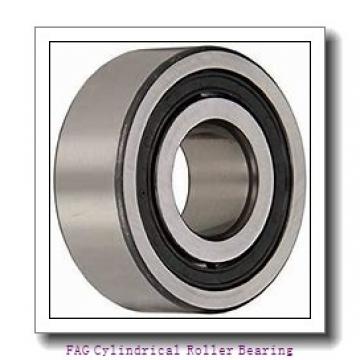 FAG NJ319-E-TVP2 Cylindrical Roller Bearing