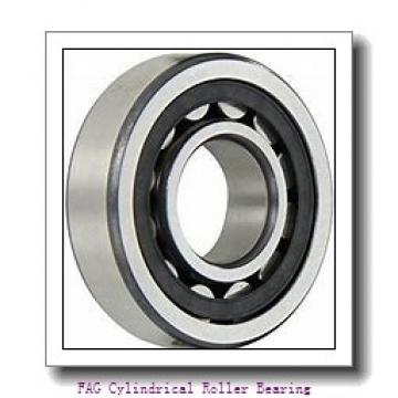 FAG NJ334-E-M1 Cylindrical Roller Bearing