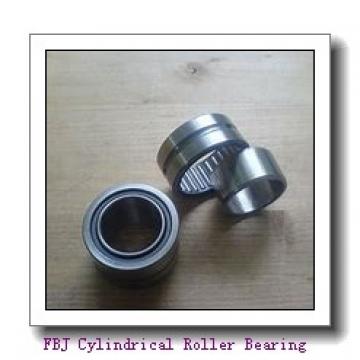 FBJ NJ204 Cylindrical Roller Bearing