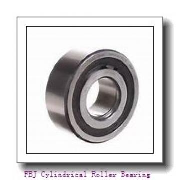 FBJ NJ2205 Cylindrical Roller Bearing