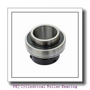 FBJ NJ215 Cylindrical Roller Bearing
