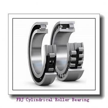 FBJ NF317 Cylindrical Roller Bearing