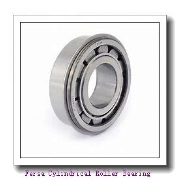 Fersa NUP2205FM/C3 Cylindrical Roller Bearing