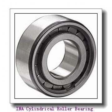 INA F-53597 Cylindrical Roller Bearing