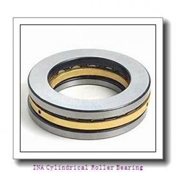 INA F-85706 Cylindrical Roller Bearing
