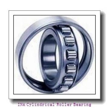 INA NN3056-AS-K-M-SP Cylindrical Roller Bearing