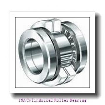 INA F-236820 Cylindrical Roller Bearing