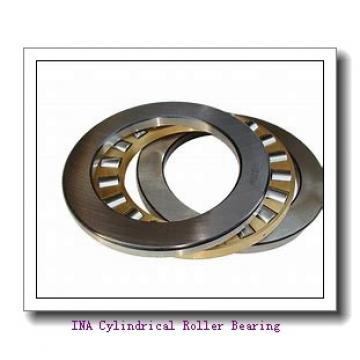 INA F-96770 Cylindrical Roller Bearing