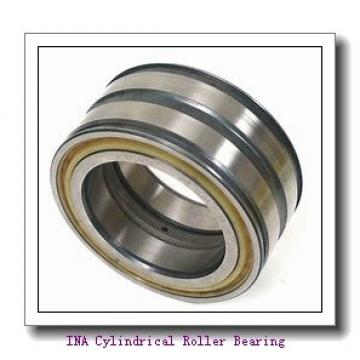 INA F-216642.1 Cylindrical Roller Bearing - Cylindrical Roller 