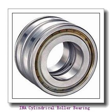 INA F-51025 Cylindrical Roller Bearing