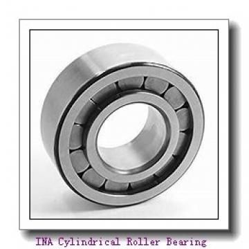 INA F-239187.01 Cylindrical Roller Bearing