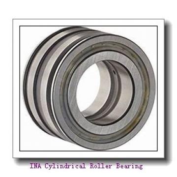 INA F-94010 Cylindrical Roller Bearing
