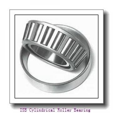 ISB NN 3014 TN/SP Cylindrical Roller Bearing