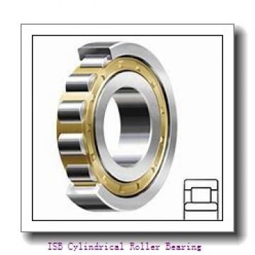 ISB NNU 40/560 M/W33 Cylindrical Roller Bearing