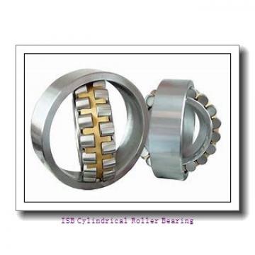 ISB NN 3007 K/SP Cylindrical Roller Bearing