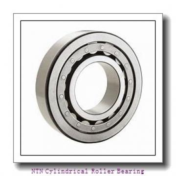NTN NJ422/100 Cylindrical Roller Bearing