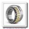 AST NJ405 M Cylindrical Roller Bearing