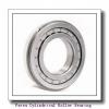 Fersa F19004 Cylindrical Roller Bearing