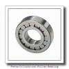 Fersa F19001 Cylindrical Roller Bearing #2 small image