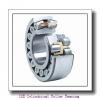 ISB NN 49/1000 K/W33X Cylindrical Roller Bearing #1 small image