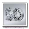 NSK NN 3017 Cylindrical Roller Bearing #1 small image