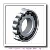 NSK NN 3017 Cylindrical Roller Bearing #2 small image