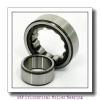 SKF NJG 2324 VH Cylindrical Roller Bearing