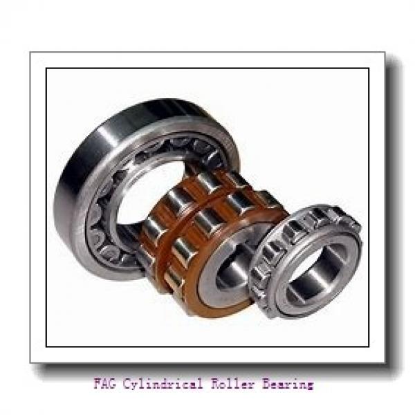 FAG NJ319-E-TVP2 Cylindrical Roller Bearing #1 image