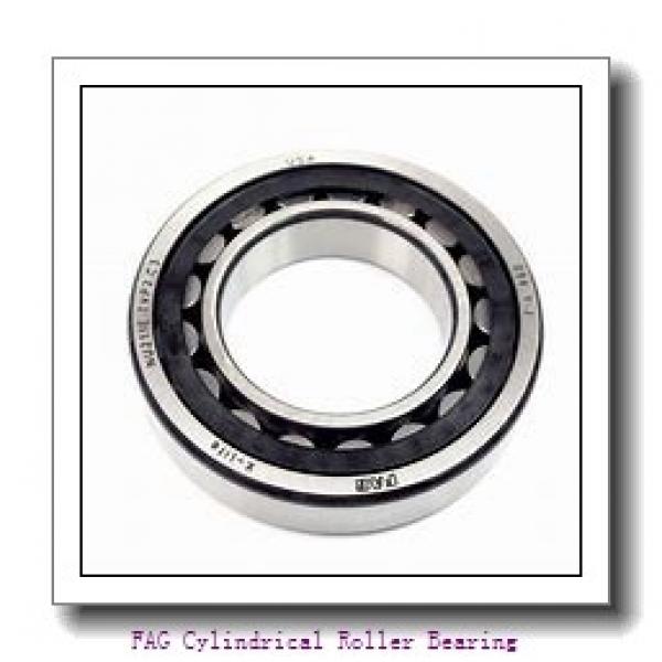 FAG NJ421-M1 + HJ421 Cylindrical Roller Bearing #2 image