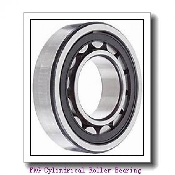 FAG NJ334-E-M1+HJ334-E Cylindrical Roller Bearing #1 image