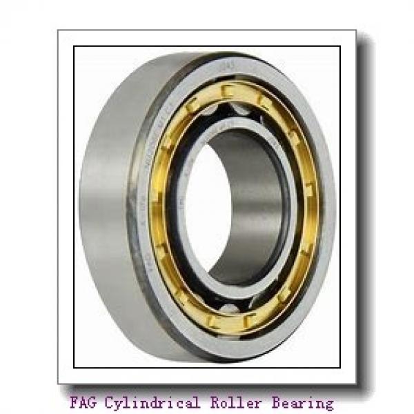 FAG NJ318-E-TVP2 + HJ318-E Cylindrical Roller Bearing #1 image