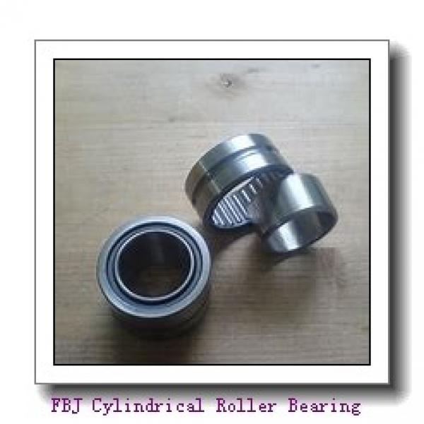 FBJ NF318 Cylindrical Roller Bearing #1 image