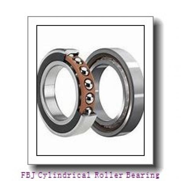 FBJ NJ206 Cylindrical Roller Bearing #1 image