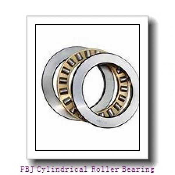 FBJ NF411 Cylindrical Roller Bearing #1 image