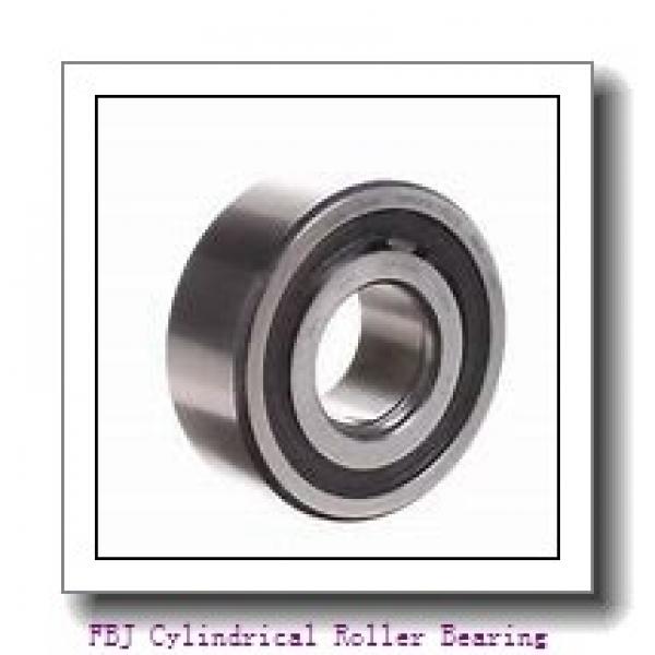 FBJ NF406 Cylindrical Roller Bearing #1 image