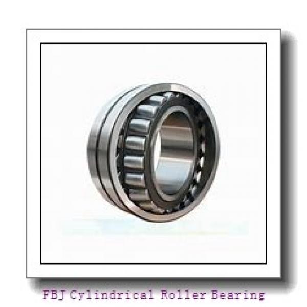 FBJ NF319 Cylindrical Roller Bearing #1 image