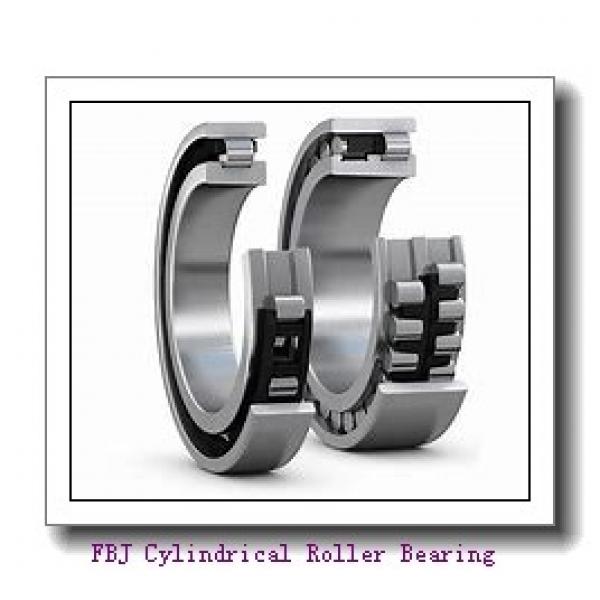 FBJ NF317 Cylindrical Roller Bearing #1 image
