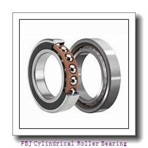 FBJ NF317 Cylindrical Roller Bearing #3 image