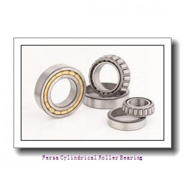Fersa NJ1014 Cylindrical Roller Bearing #1 image
