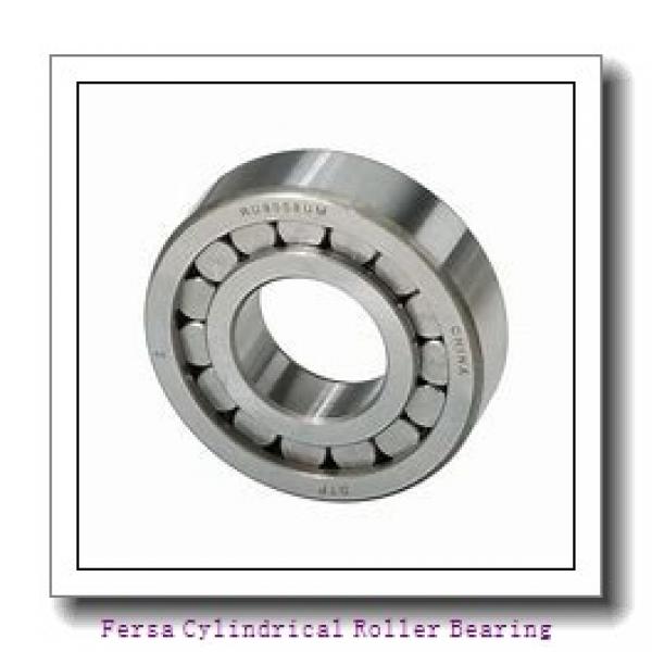Fersa NUP209FM Cylindrical Roller Bearing #1 image