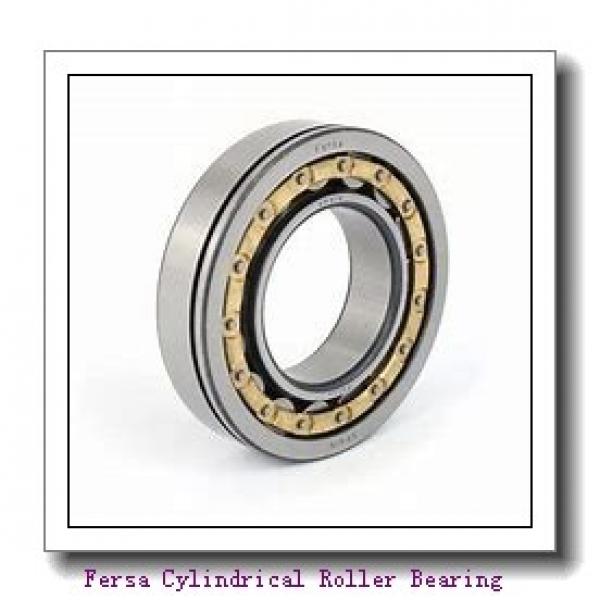 Fersa NJ1014 Cylindrical Roller Bearing #2 image