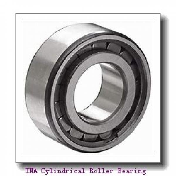 INA F-220006 Cylindrical Roller Bearing #2 image