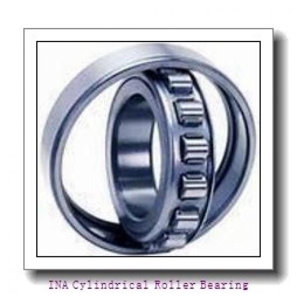 INA F-51025 Cylindrical Roller Bearing #2 image