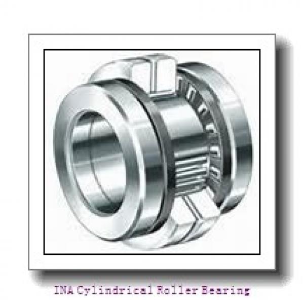 INA F-390697 Cylindrical Roller Bearing #1 image